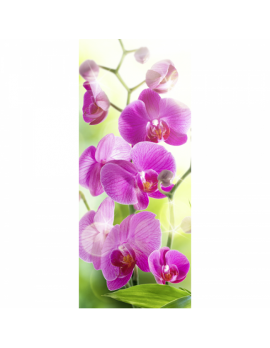Banner-poster de hermosas orquídeas Para la decoración de escaparates de tiendas