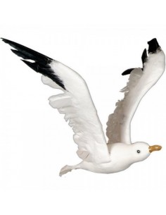Gaviota volando para la decorar espacios y escaparates de verano con mamíferos y aves