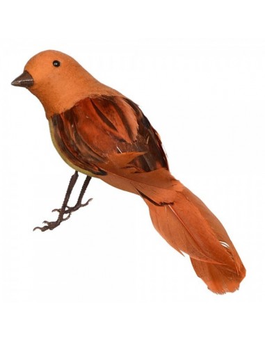 Pájaro petirrojo o robín de pie para la decorar espacios y escaparates de verano con mamíferos y aves