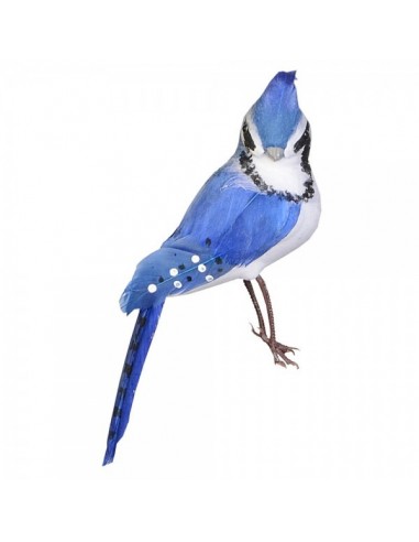 Pájaro exótico para la decorar espacios y escaparates de verano con mamíferos y aves