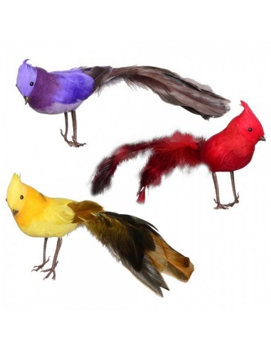 Pájaro cardenal norteño de pie para la decorar espacios y escaparates de verano con mamíferos y aves