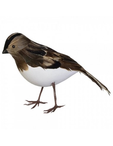Pájaro gorrión de pie para la decorar espacios y escaparates de verano con mamíferos y aves
