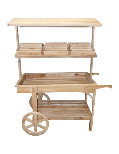 Carrito de madera de venta ambulante para escaparates en verano de tiendas o comercios
