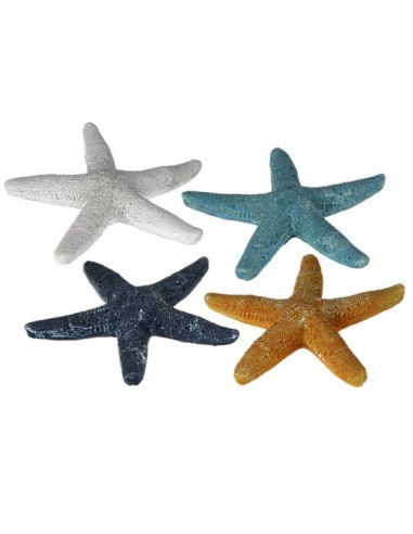 Estrellas del fondo del mar para la decorar espacios y escaparates de verano con peces marinos