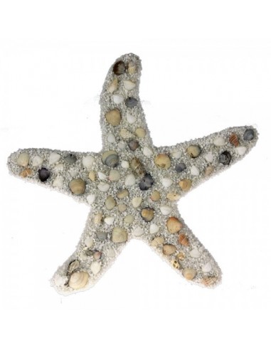 Estrella de mar forrada con conchas para la decorar espacios y escaparates de verano con peces marinos