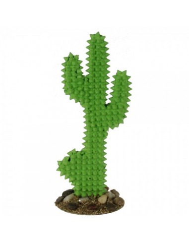 Cactus con base para escaparates y decorar espacios de países y viajes