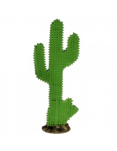 Cactus con base para escaparates y decorar espacios de países y viajes