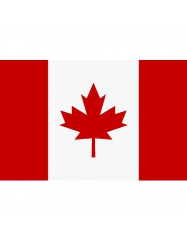Bandera de canadá para escaparates y decorar espacios de países y viajes