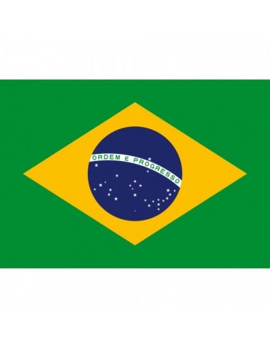 Bandera de mano de brasil para escaparates y decorar espacios de países y viajes