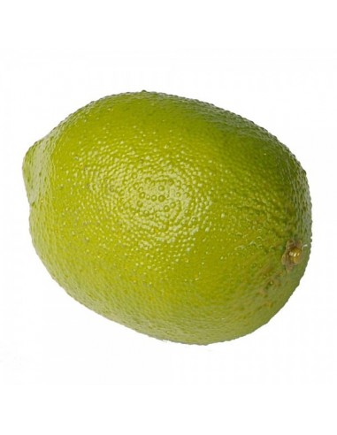Imitación limón verde cítrico para fruterías y la decoración de escaparates de tiendas o comercios