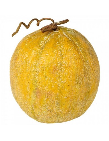 Imitación melón amarillo para fruterías y la decoración de escaparates de tiendas o comercios